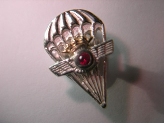 pin paracaidistas oro plata